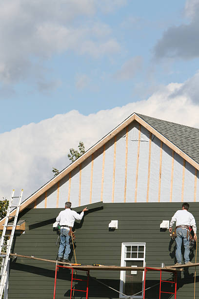 Best Wood Siding Installation  in Winthrop, MN